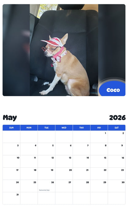 2026 - 2027 Coco - Pawidols Pet Calendar