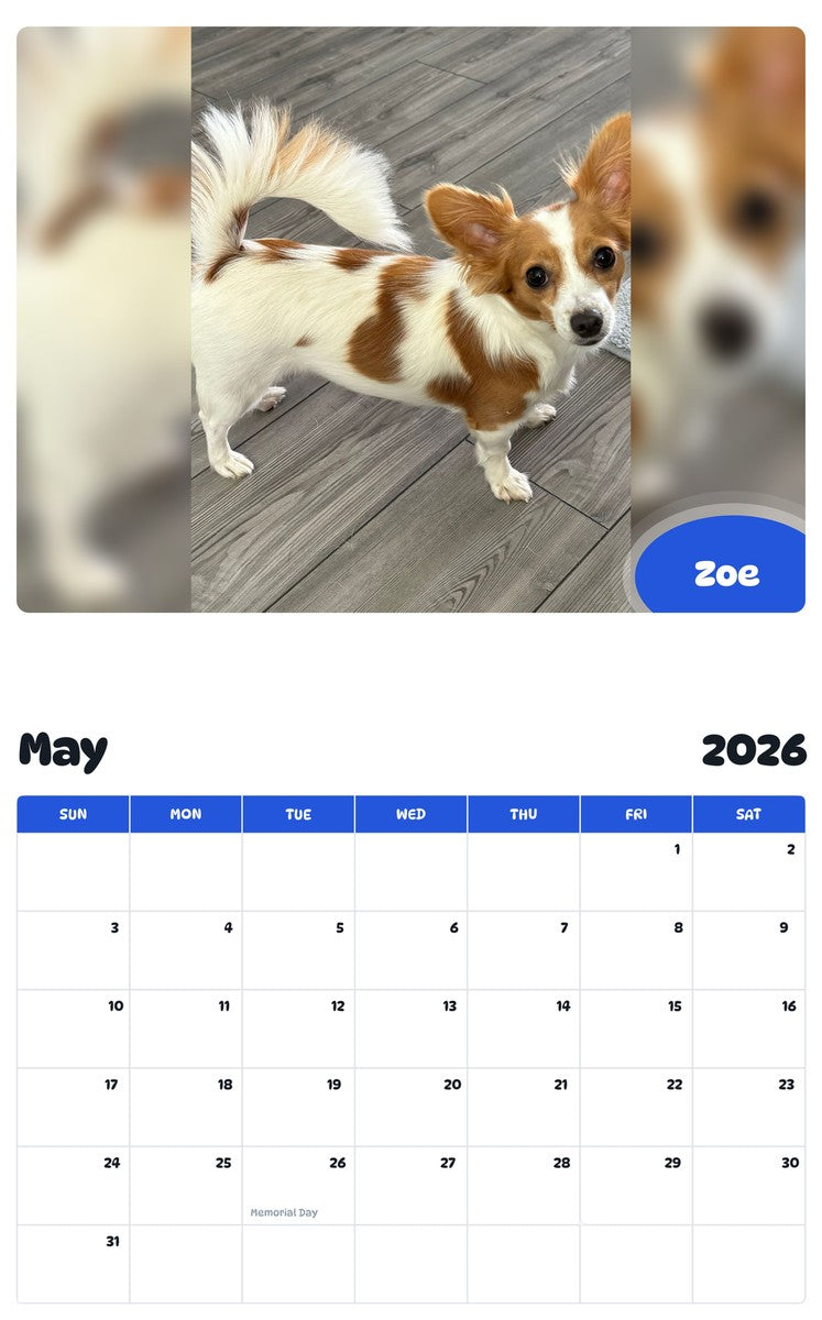 2026 - 2027 Zoe - Pawidols Pet Calendar