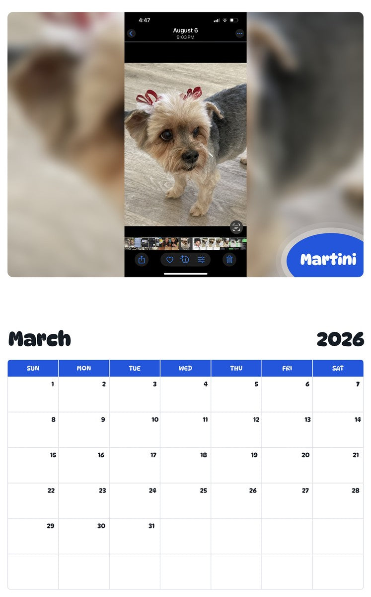 November 2025 - October 2026 Martini - Pawidols Pet Calendar