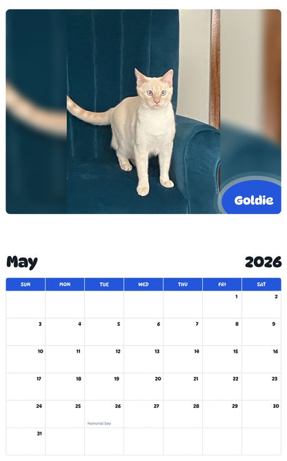 2026 - 2027 Goldie - Pawidols Pet Calendar