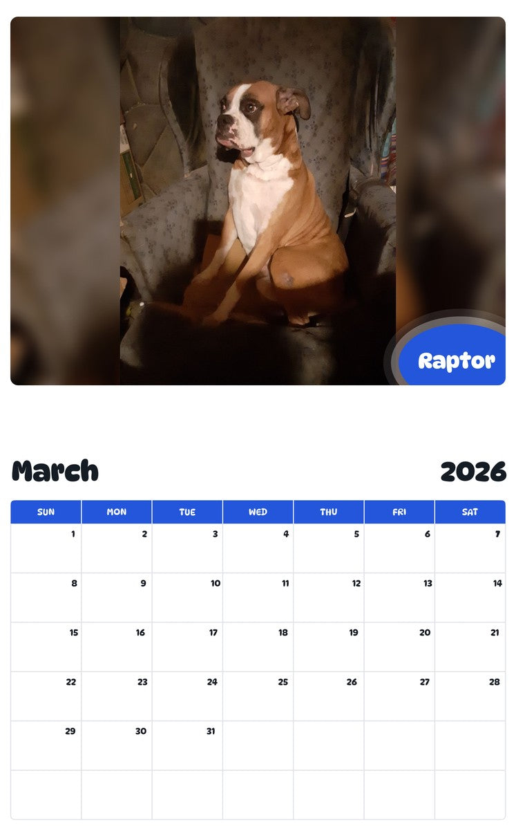 November 2025 - October 2026 Raptor - Pawidols Pet Calendar
