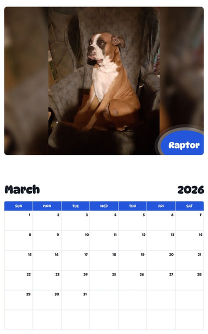 November 2025 - October 2026 Raptor - Pawidols Pet Calendar