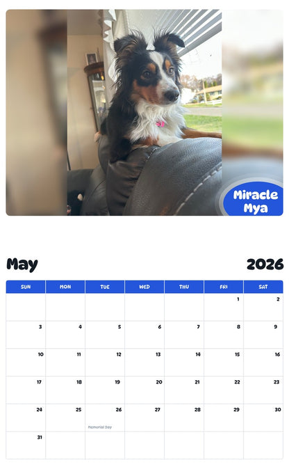 2026 - 2027 Miracle Mya - Pawidols Pet Calendar