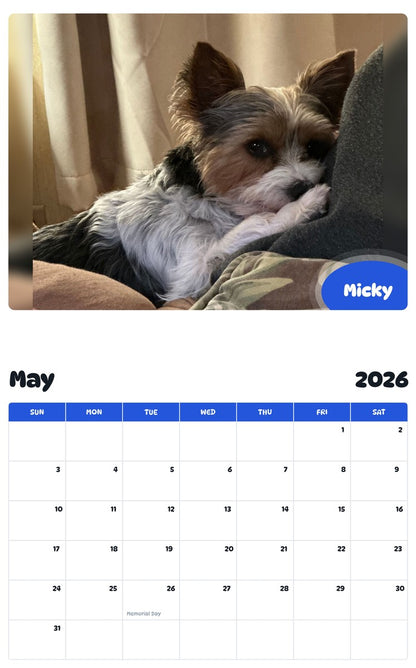 2026 - 2027 Micky - Pawidols Pet Calendar