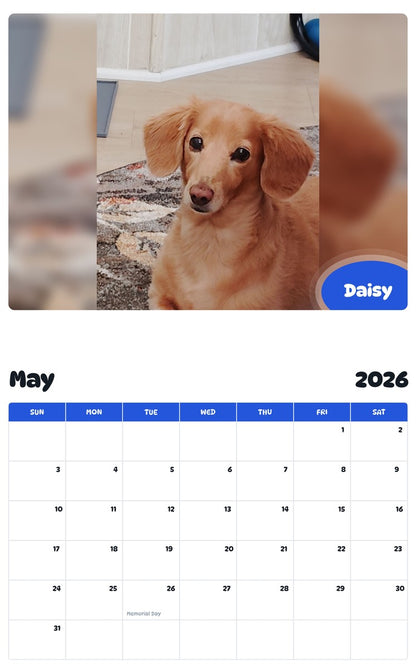 2026 - 2027 Daisy - Pawidols Pet Calendar