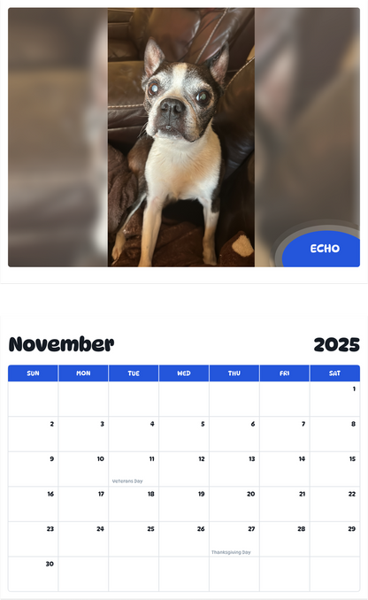 July 2025 - June 2026 Echo - Pawidols Pet Calendar