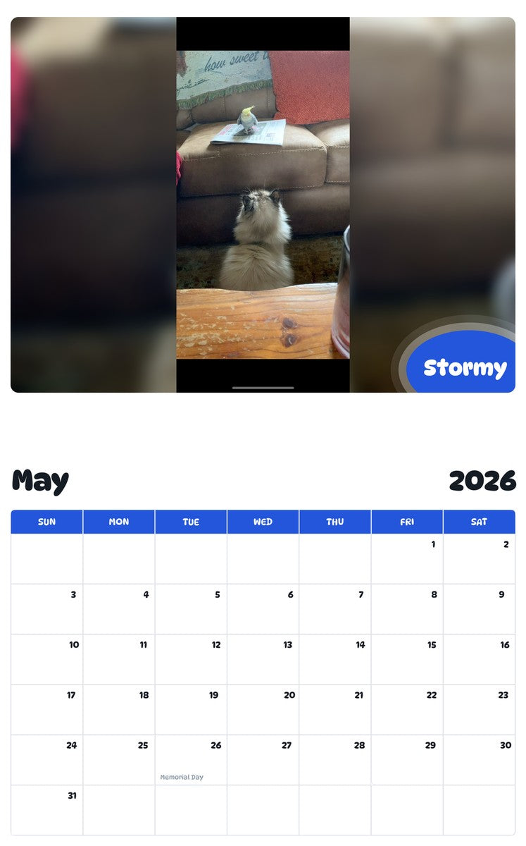 2026 - 2027 Stormy - Pawidols Pet Calendar