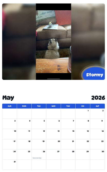 2026 - 2027 Stormy - Pawidols Pet Calendar
