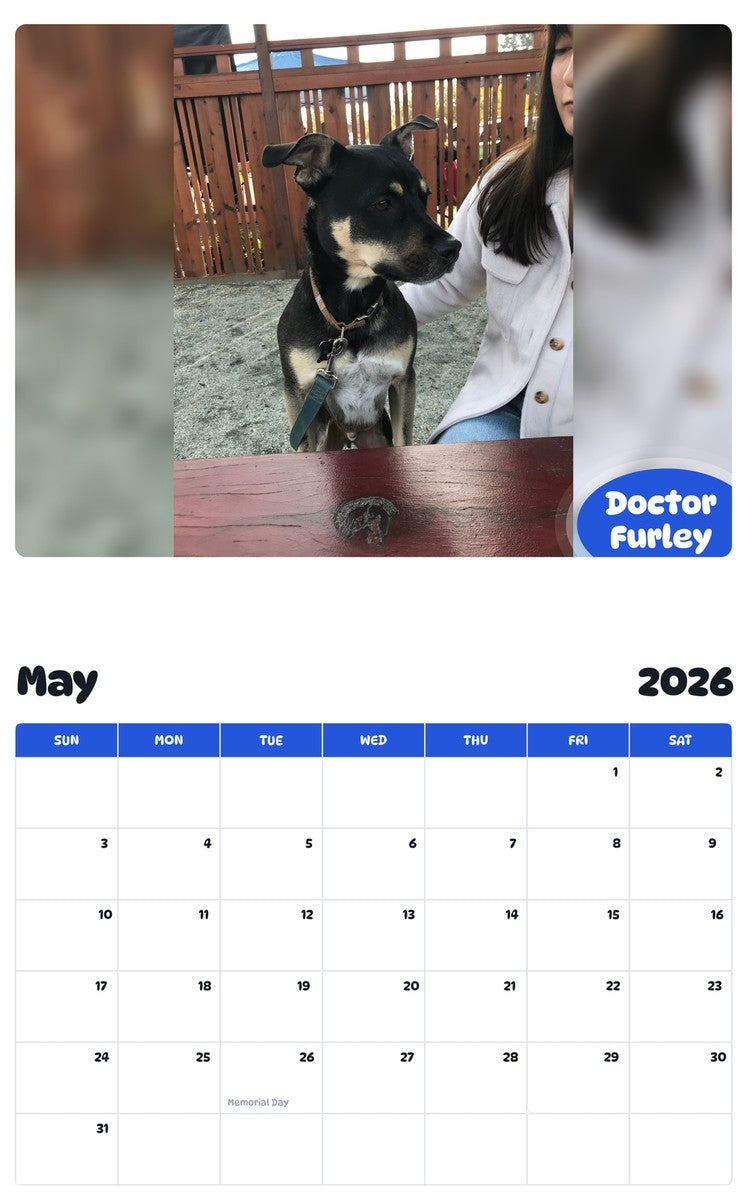 2026 - 2027 Doctor Furley - Pawidols Pet Calendar