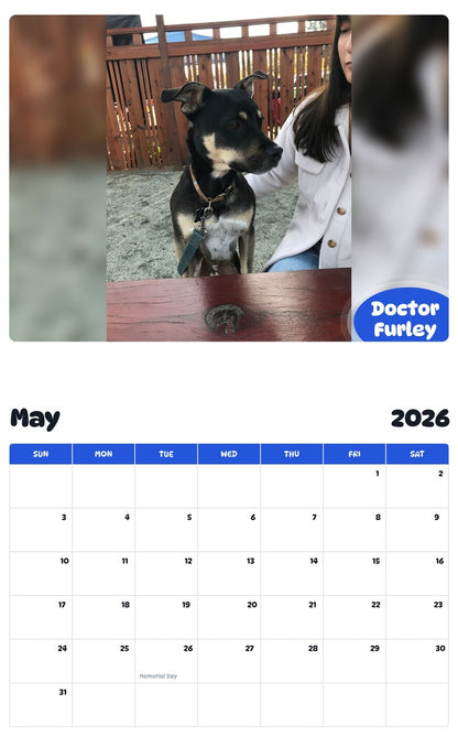 2026 - 2027 Doctor Furley - Pawidols Pet Calendar
