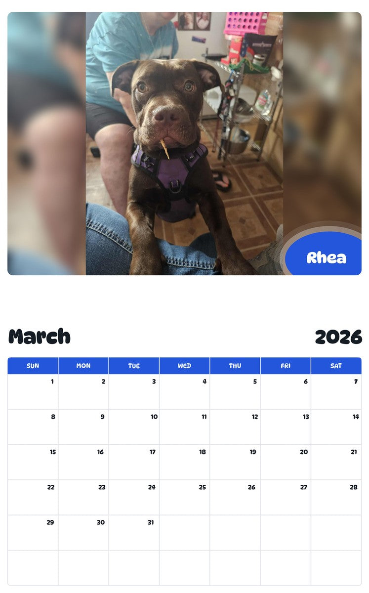 November 2025 - October 2026 Rhea - Pawidols Pet Calendar