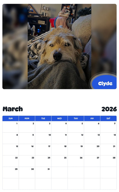 November 2025 - October 2026 Clyde - Pawidols Pet Calendar