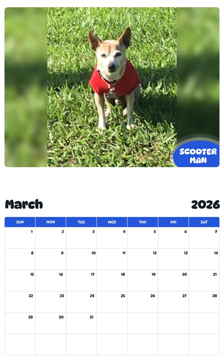 November 2025 - October 2026 SCOOTER MAN - Pawidols Pet Calendar
