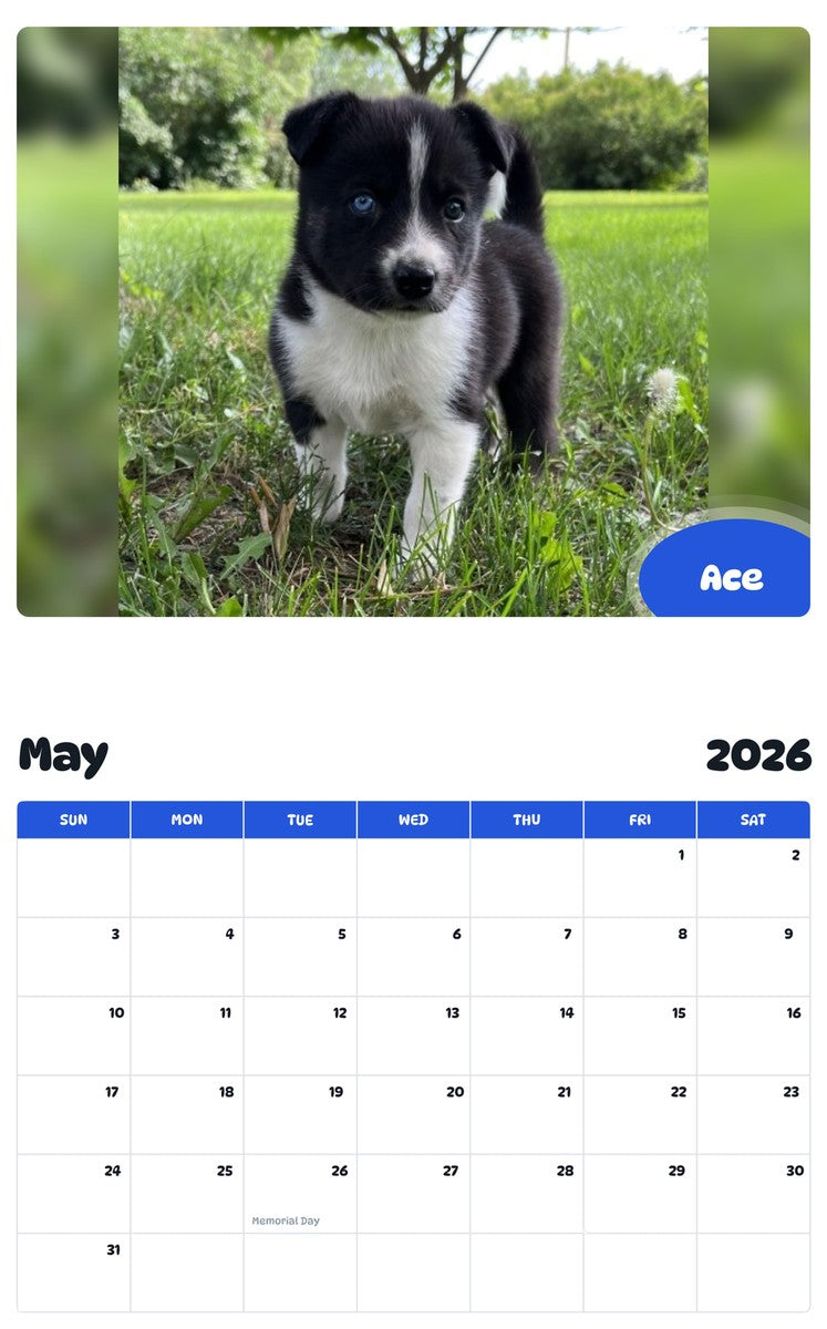2026 - 2027 Ace - Pawidols Pet Calendar