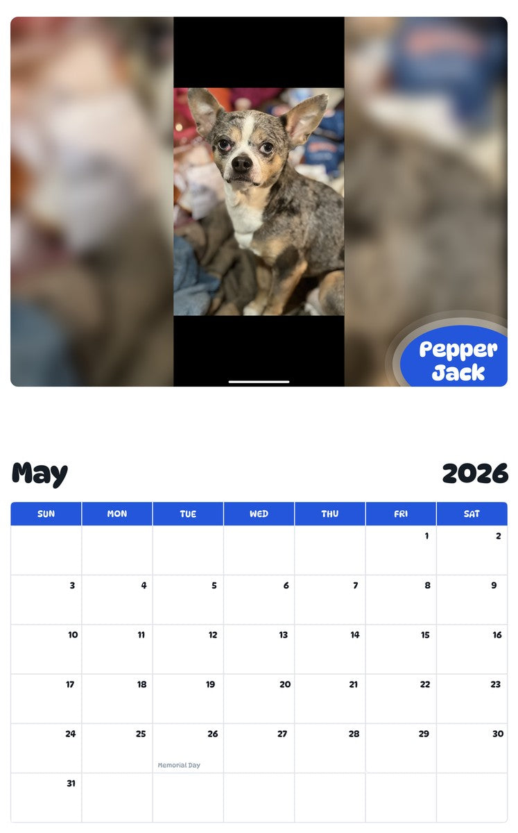 2026 - 2027 Pepper Jack - Pawidols Pet Calendar
