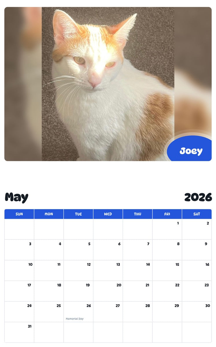 2026 - 2027 Joey - Pawidols Pet Calendar