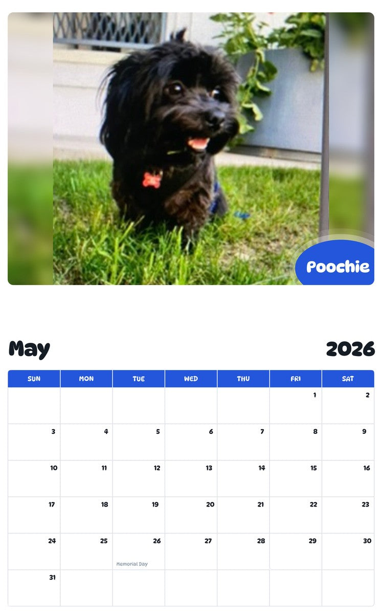 2026 - 2027 Poochie - Pawidols Pet Calendar