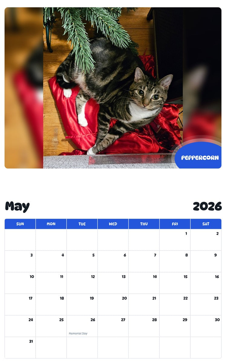 2026 - 2027 PEPPERCORN - Pawidols Pet Calendar