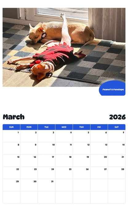 November 2025 - October 2026 Peanut & Penelope - Pawidols Pet Calendar
