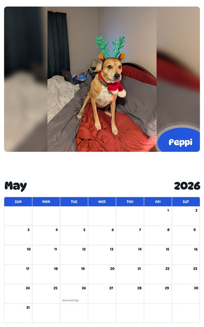 2026 - 2027 Peppi - Pawidols Pet Calendar