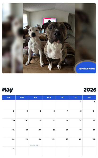 2026 - 2027 Darla & Brutus - Pawidols Pet Calendar