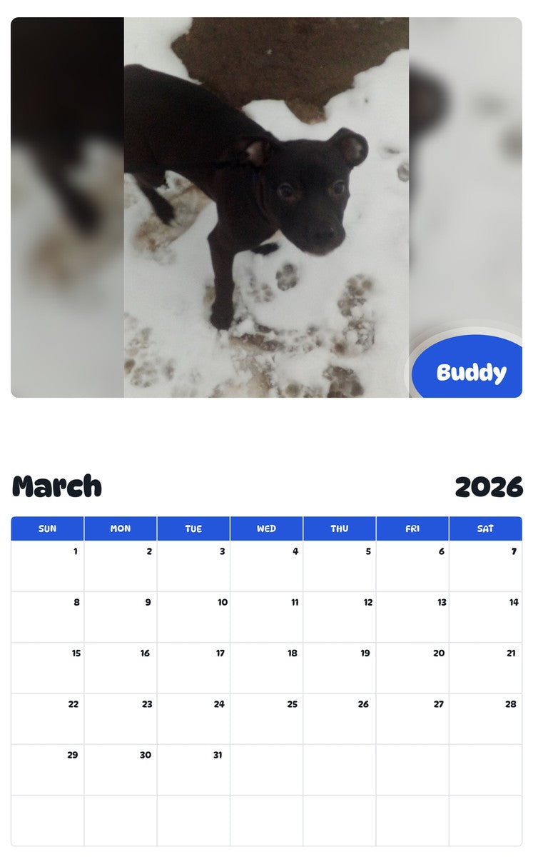 November 2025 - October 2026 Buddy - Pawidols Pet Calendar