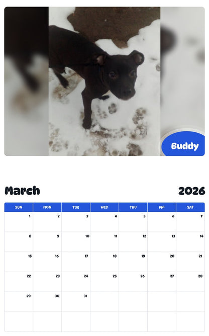 November 2025 - October 2026 Buddy - Pawidols Pet Calendar