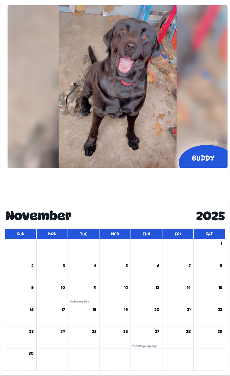 July 2025 - June 2026 Buddy - Pawidols Pet Calendar