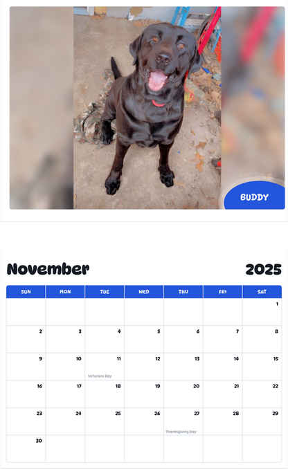 July 2025 - June 2026 Buddy - Pawidols Pet Calendar