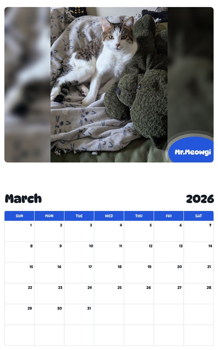 November 2025 - October 2026 Mr.Meowgi - Pawidols Pet Calendar