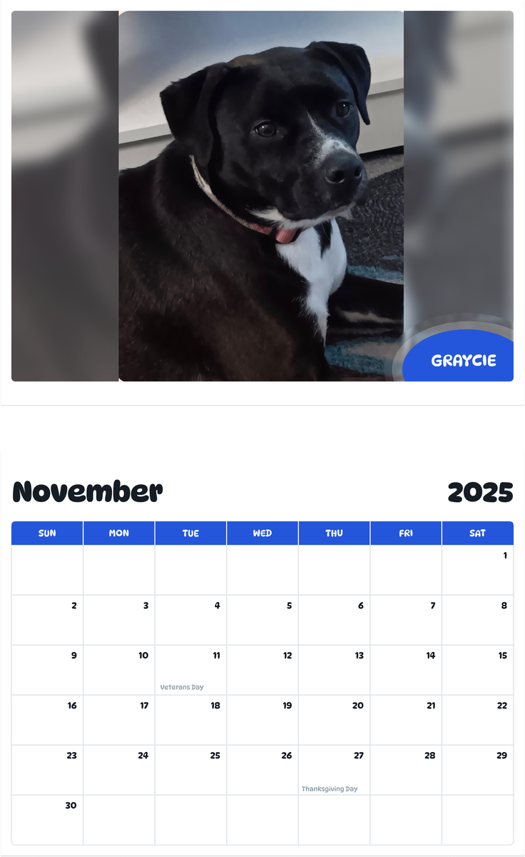 July 2025 - June 2026 Graycie - Pawidols Pet Calendar
