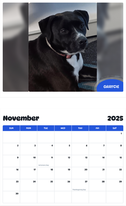 July 2025 - June 2026 Graycie - Pawidols Pet Calendar