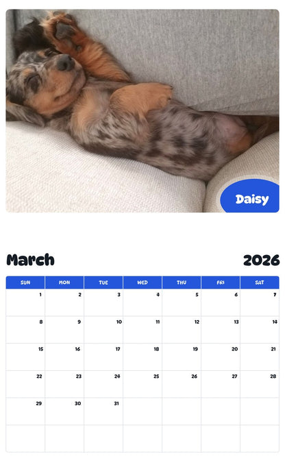 November 2025 - October 2026 Daisy - Pawidols Pet Calendar