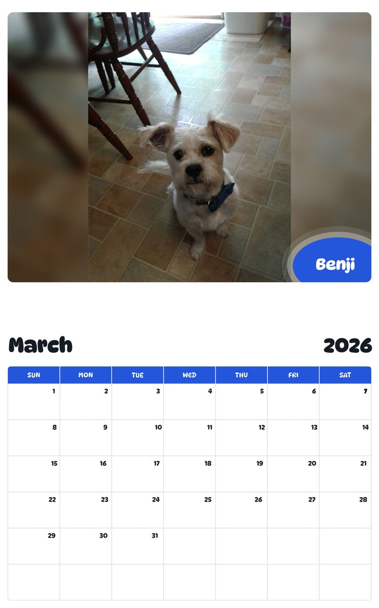 November 2025 - October 2026 Benji - Pawidols Pet Calendar