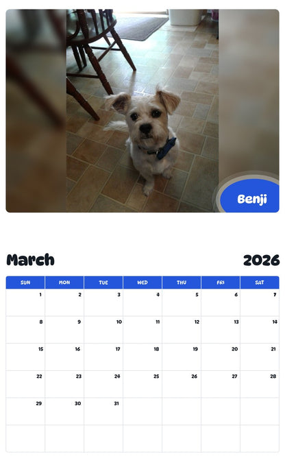 November 2025 - October 2026 Benji - Pawidols Pet Calendar