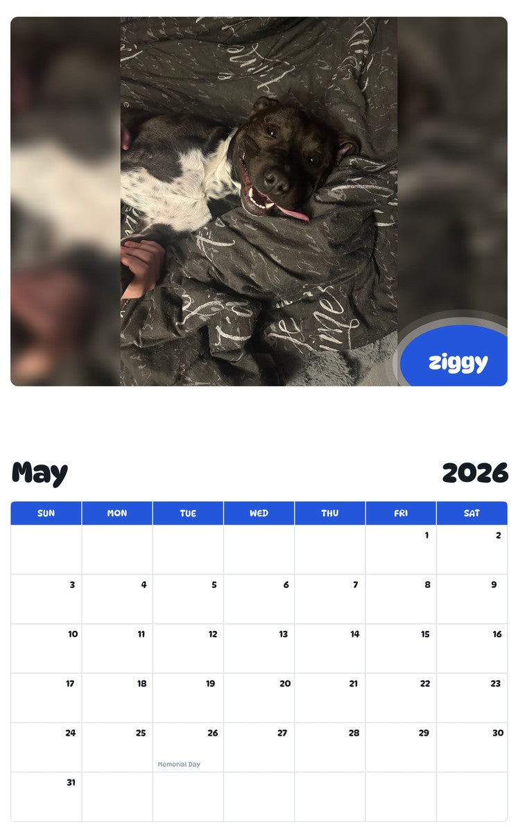 2026 - 2027 ziggy - Pawidols Pet Calendar