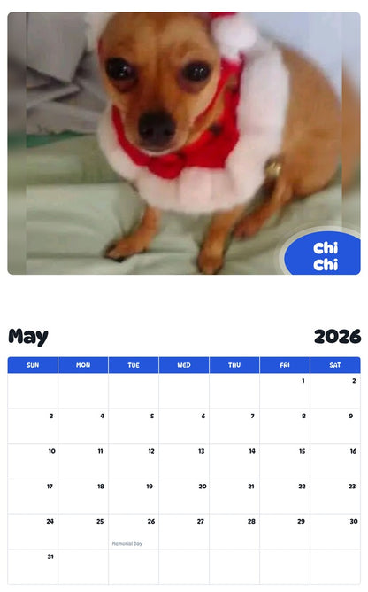 2026 - 2027 Chi Chi - Pawidols Pet Calendar