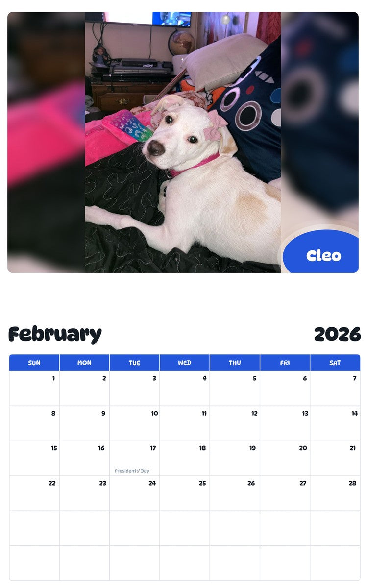 November 2025 - October 2026 Cleo - Pawidols Pet Calendar