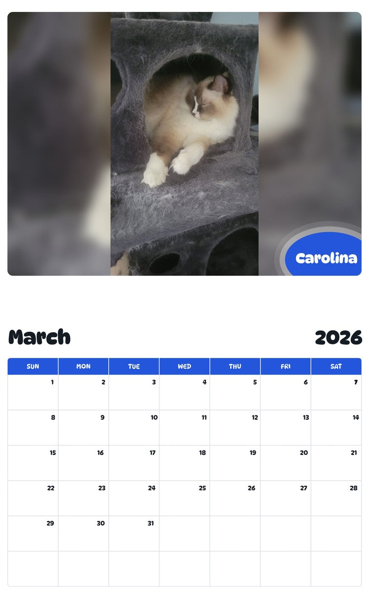 November 2025 - October 2026 Carolina - Pawidols Pet Calendar