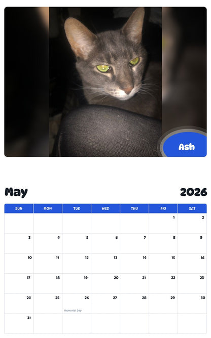 2026 - 2027 Ash - Pawidols Pet Calendar