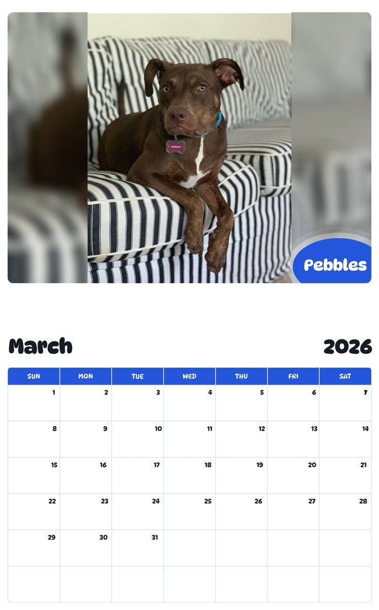November 2025 - October 2026 Pebbles - Pawidols Pet Calendar