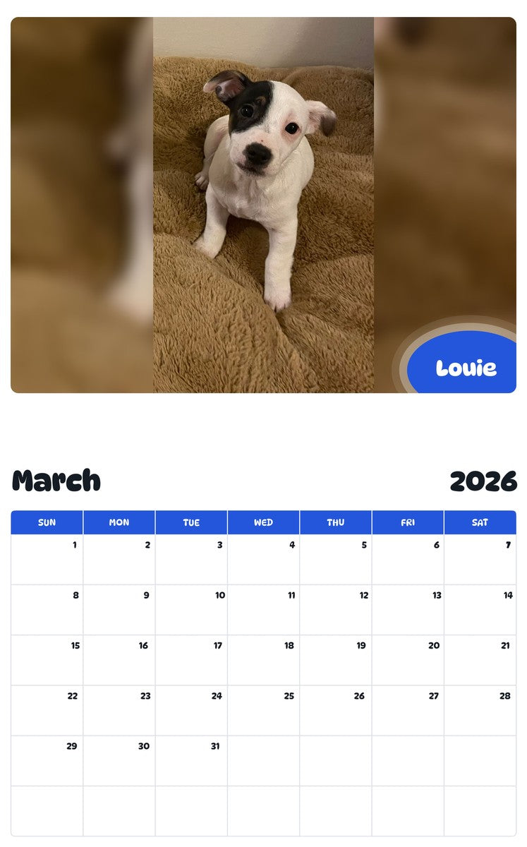 November 2025 - October 2026 Louie - Pawidols Pet Calendar