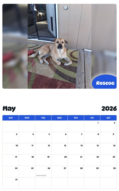 2026 - 2027 Roscoe - Pawidols Pet Calendar
