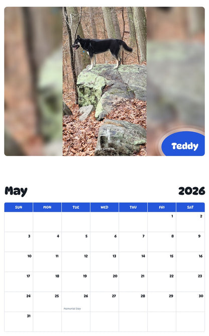 2026 - 2027 Teddy - Pawidols Pet Calendar