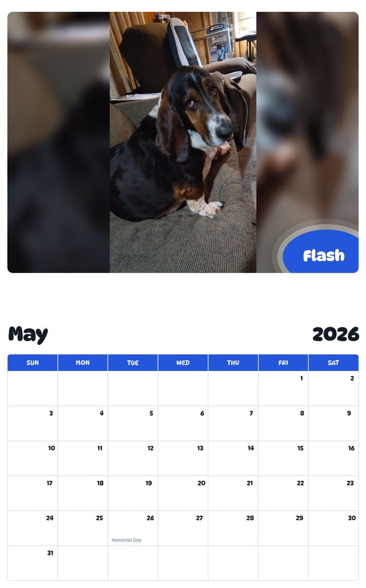 2026 - 2027 Flash - Pawidols Pet Calendar