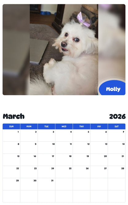 November 2025 - October 2026 Molly - Pawidols Pet Calendar