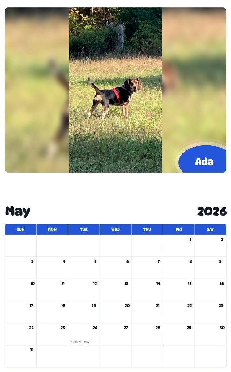 2026 - 2027 Ada - Pawidols Pet Calendar