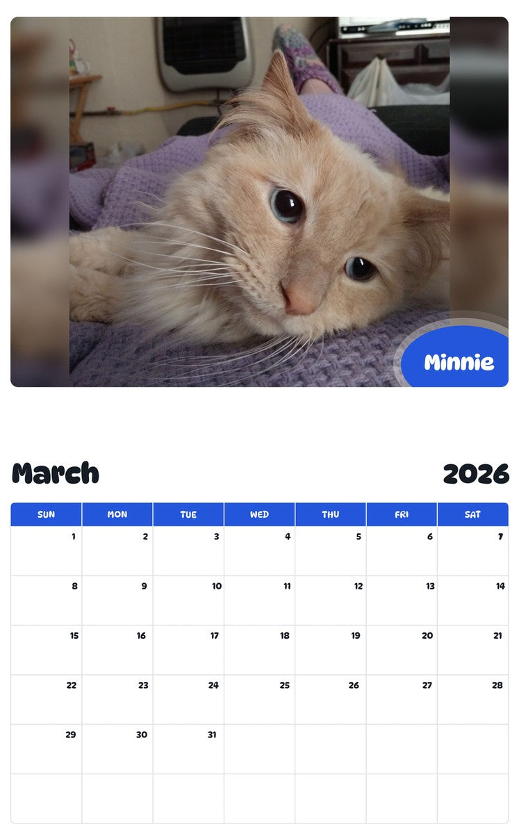 November 2025 - October 2026 Minnie - Pawidols Pet Calendar