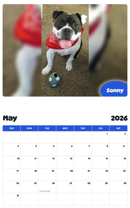 2026 - 2027 Sonny - Pawidols Pet Calendar