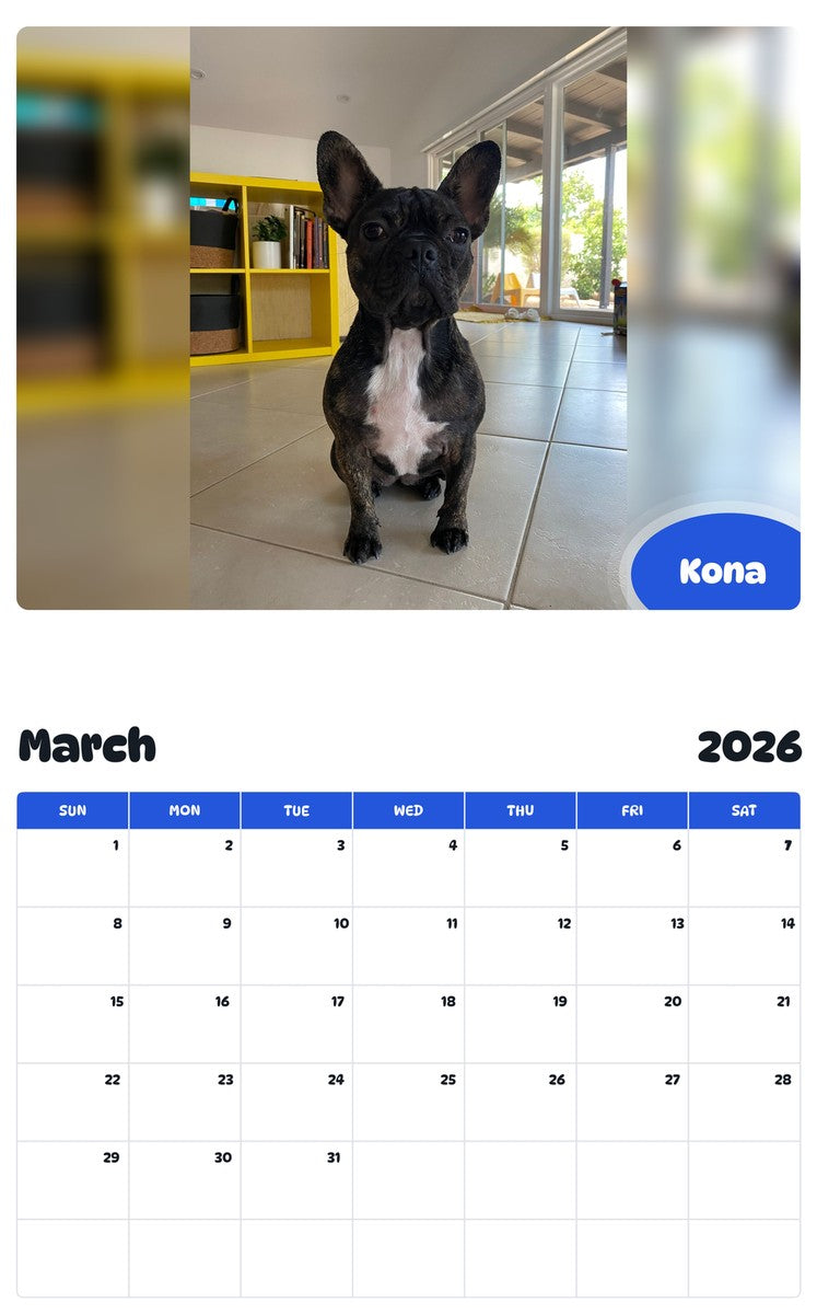 November 2025 - October 2026 Kona - Pawidols Pet Calendar